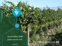 Grand Valley 2008 Grape Variety Trial