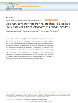 Quorum Sensing Triggers the Stochastic Escape of Individual Cells from Pseudomonas Putida Bioﬁlms