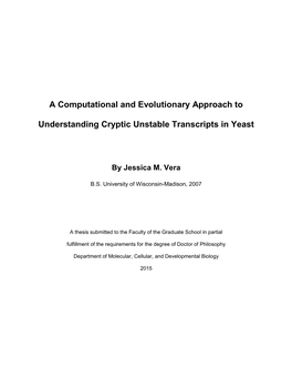 A Computational and Evolutionary Approach to Understanding Cryptic Unstable Transcripts in Yeast