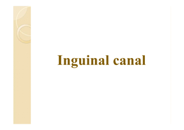 Inguinal Canal Inguinal Ligament