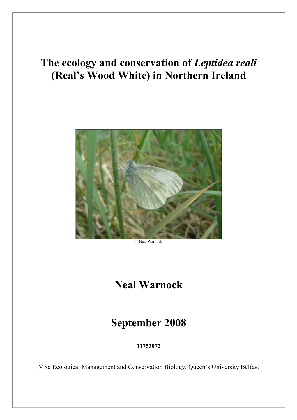 Leptidea Reali (Real’S Wood White) in Northern Ireland