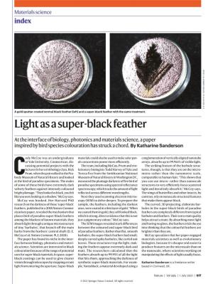 Light As a Super-Black Feather