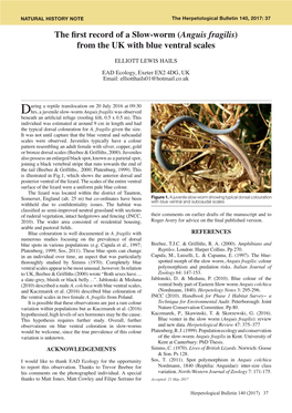 The First Record of a Slow-Worm (Anguis Fragilis) from the UK With