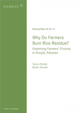 Why Do Farmers Burn Rice Residue? Examining Farmers’ Choices in Punjab, Pakistan
