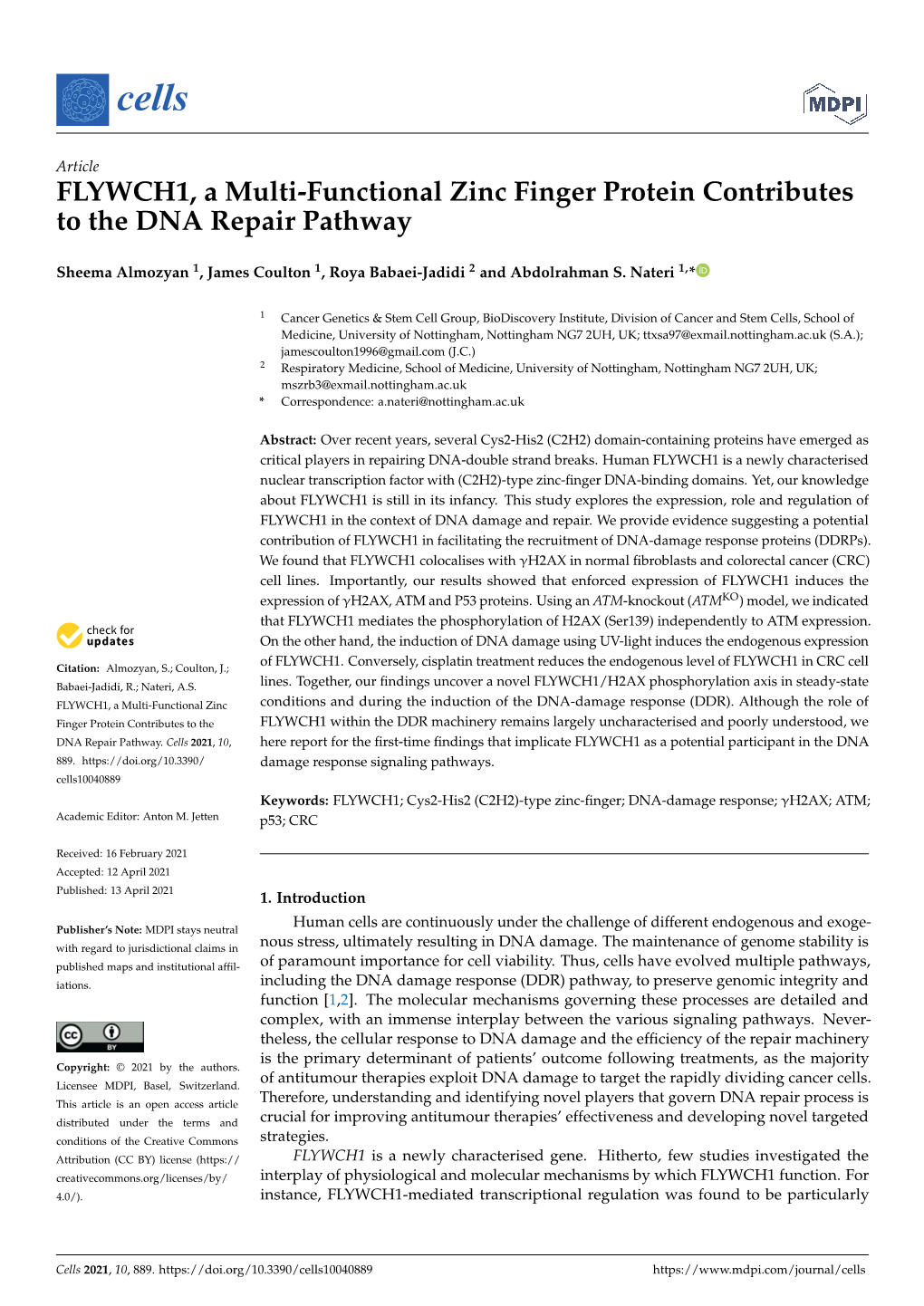 FLYWCH1, a Multi-Functional Zinc Finger Protein Contributes to the DNA Repair Pathway