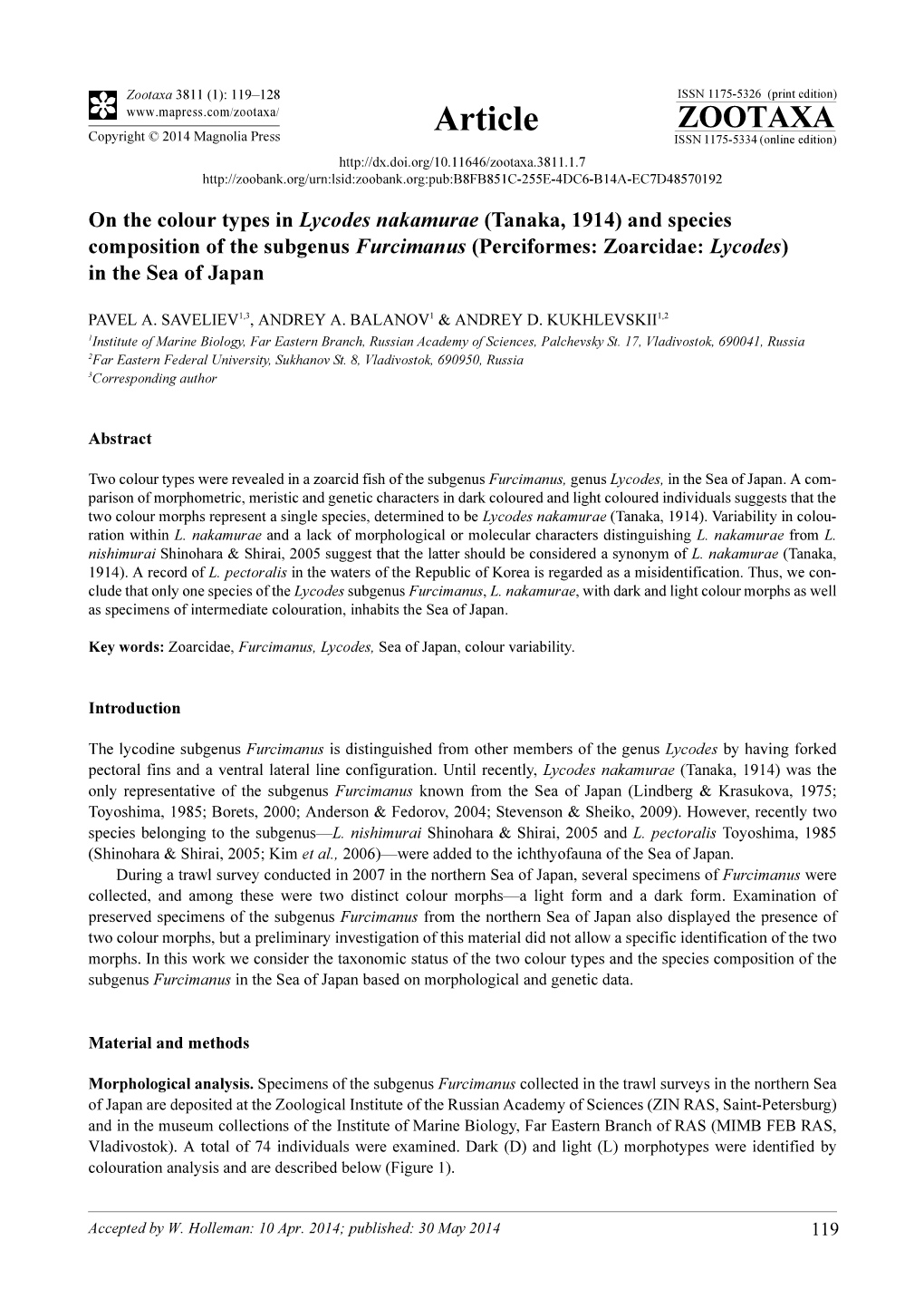 On the Colour Types in Lycodes Nakamurae (Tanaka, 1914) and Species Composition of the Subgenus Furcimanus (Perciformes: Zoarcidae: Lycodes) in the Sea of Japan