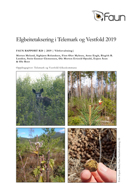 Elgbeitetaksering I Telemark Og Vestfold 2019