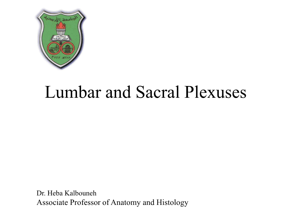 Lumbar and Sacral Plexuses