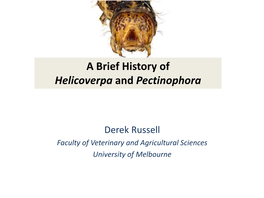 A Brief History of Helicoverpa and Pectinophora