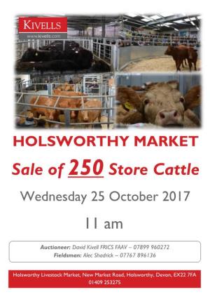 Sale of 250 Store Cattle
