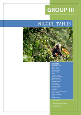 Nilgiri Tahrs