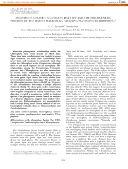 Analysis of a Plastid Multigene Data Set and the Phylogenetic Position of the Marine Macroalga Caulerpa Filiformis (Chlorophyta)1