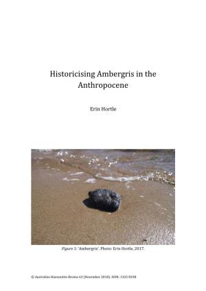 Historicising Ambergris in the Anthropocene