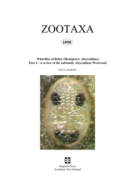 Zootaxa, Whiteflies of Belize