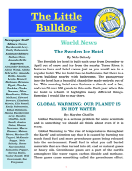 School Newsletter 2.Pages