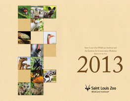 Saint Louis Zoo Wildcare Institute and the Institute for Conservation Medicine Report for the Year 2013