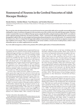 Nonrenewal of Neurons in the Cerebral Neocortex of Adult Macaque Monkeys