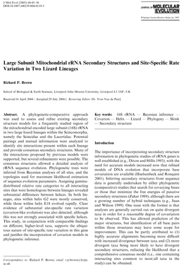 Large Subunit Mitochondrial Rrna Secondary Structures and Site-Speciﬁc Rate Variation in Two Lizard Lineages