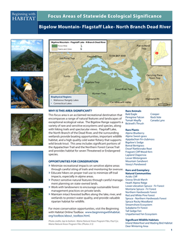 Focus Areas of Statewide Ecological Significance Bigelow Mountain