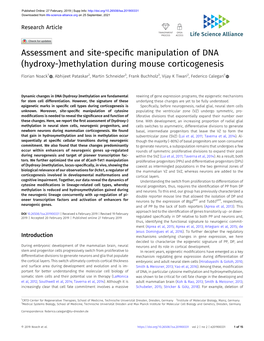 Assessment and Site-Specific Manipulation of DNA (Hydroxy