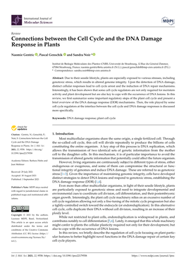 Connections Between the Cell Cycle and the DNA Damage Response in Plants