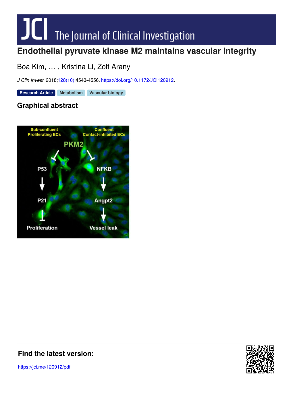 Endothelial Pyruvate Kinase M2 Maintains Vascular Integrity