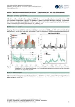Haddock (Melanogrammus Aeglefinus) in Divisions 7.B–K (Southern Celtic Seas and English Channel)