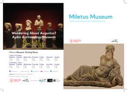 Aydın Archaeology Museum Don’T Miss Miletus Museum Visiting Hours