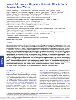 Natural Selection and Origin of a Melanistic Allele in North American Gray Wolves Rena M