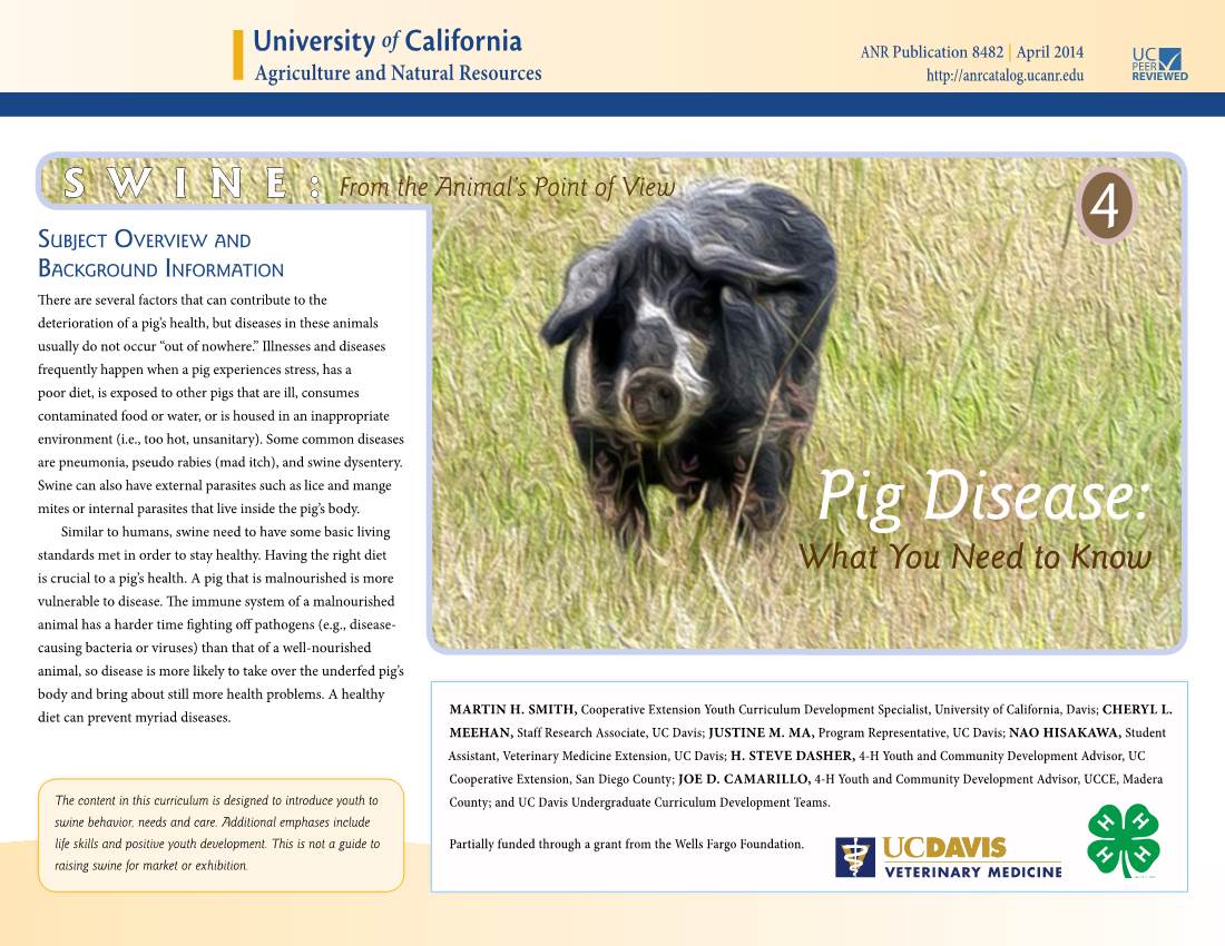 Pig Disease: Similar to Humans, Swine Need to Have Some Basic Living Standards Met in Order to Stay Healthy