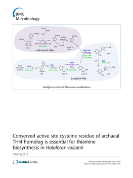 Conserved Active Site Cysteine Residue of Archaeal THI4 Homolog Is Essential for Thiamine Biosynthesis in Haloferax Volcanii Hwang Et Al