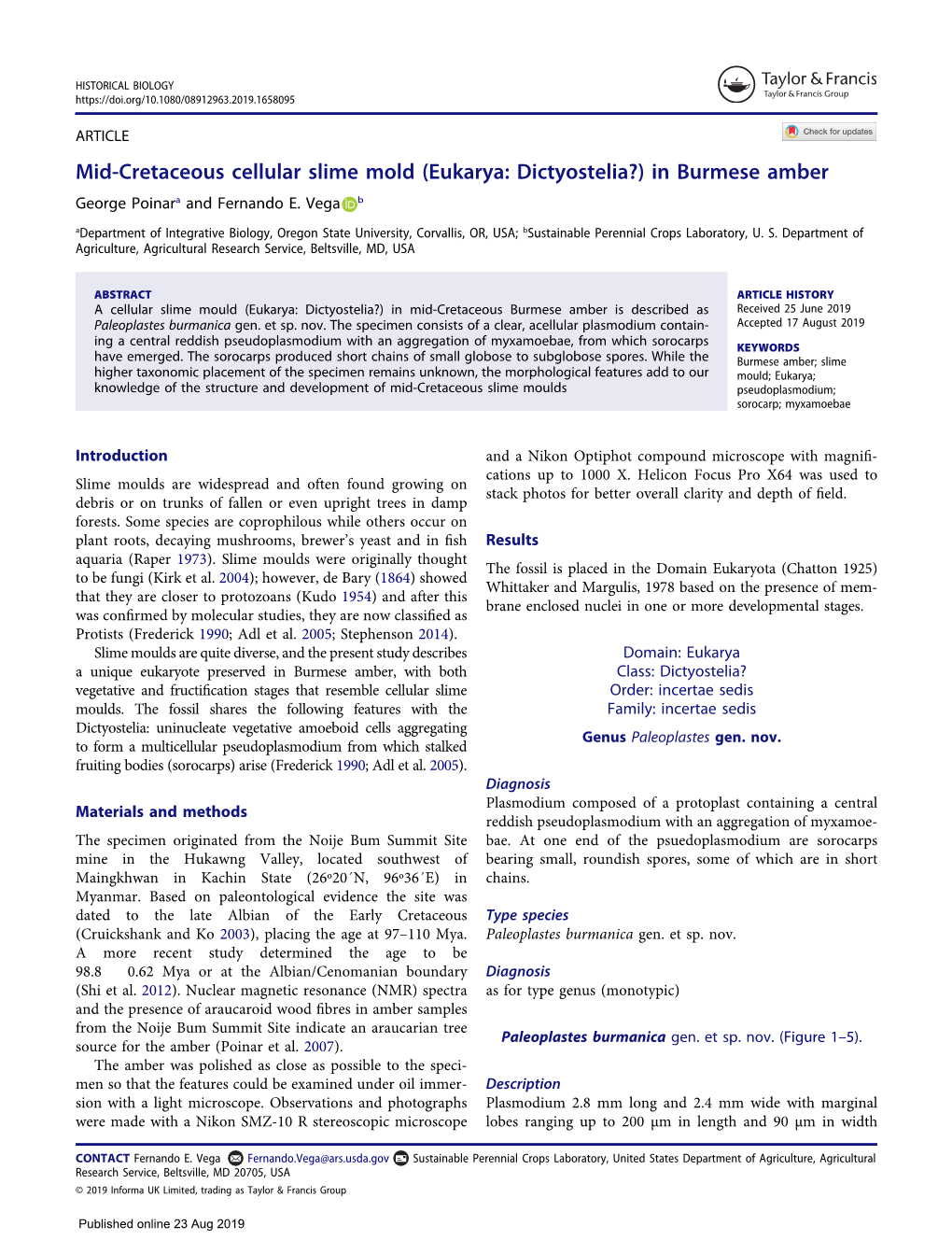 Mid-Cretaceous Cellular Slime Mold (Eukarya: Dictyostelia?) in Burmese Amber