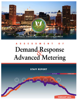 2010 Assessment of Demand Response and Advanced Metering Federal Energy Regulatory Commission I