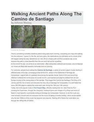 Walking Ancient Paths Along the Camino De Santiago by Julianne Mooney
