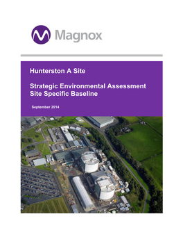 Hunterston a Site Strategic Environmental Assessment