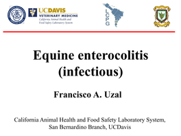 Equine Enterocolitis (Infectious)