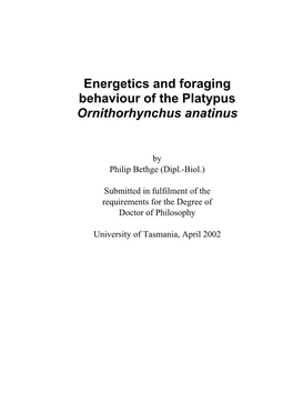 Energetics and Foraging Behaviour of the Platypus Ornithorhynchus Anatinus