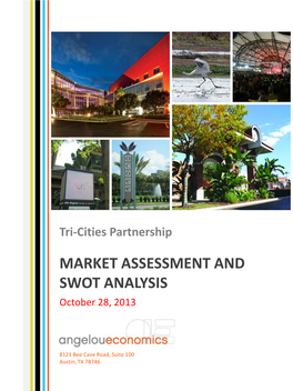 MARKET ASSESSMENT and SWOT ANALYSIS October 28, 2013