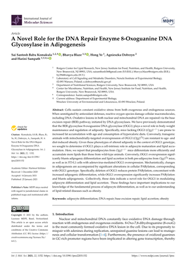 A Novel Role for the DNA Repair Enzyme 8-Oxoguanine DNA Glycosylase in Adipogenesis