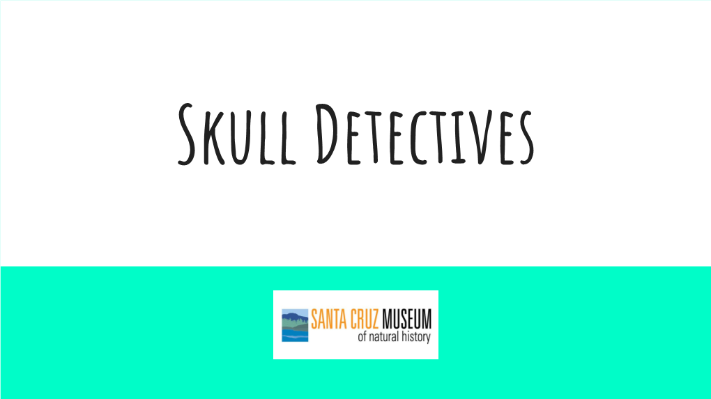 Skull Detectives Slideshow