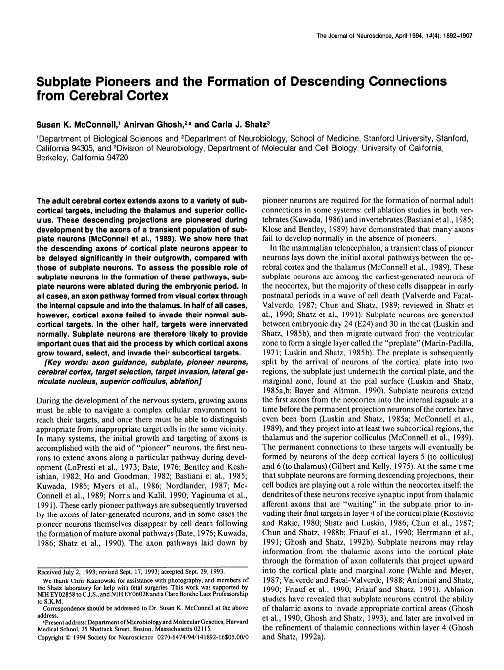 Subplate Pioneers and the Formation of Descending Connections from Cerebral Cortex