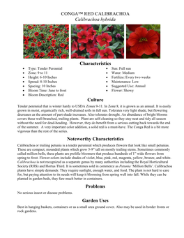 CONGA™ RED CALIBRACHOA Calibrachoa Hybrida Characteristics Culture Noteworthy Characteristics Problems Garden Uses