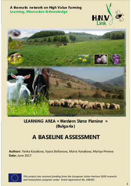 A Baseline Assessment