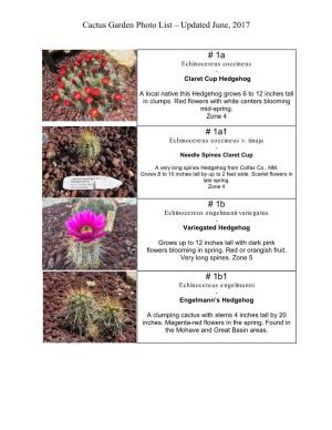 Cactus Garden Photo List – Updated June, 2017