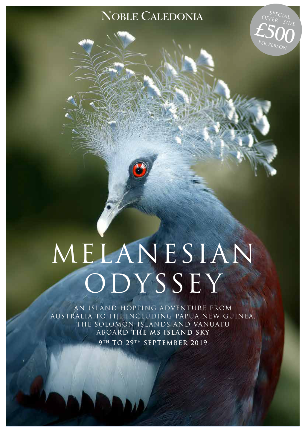 Melanesian Odyssey