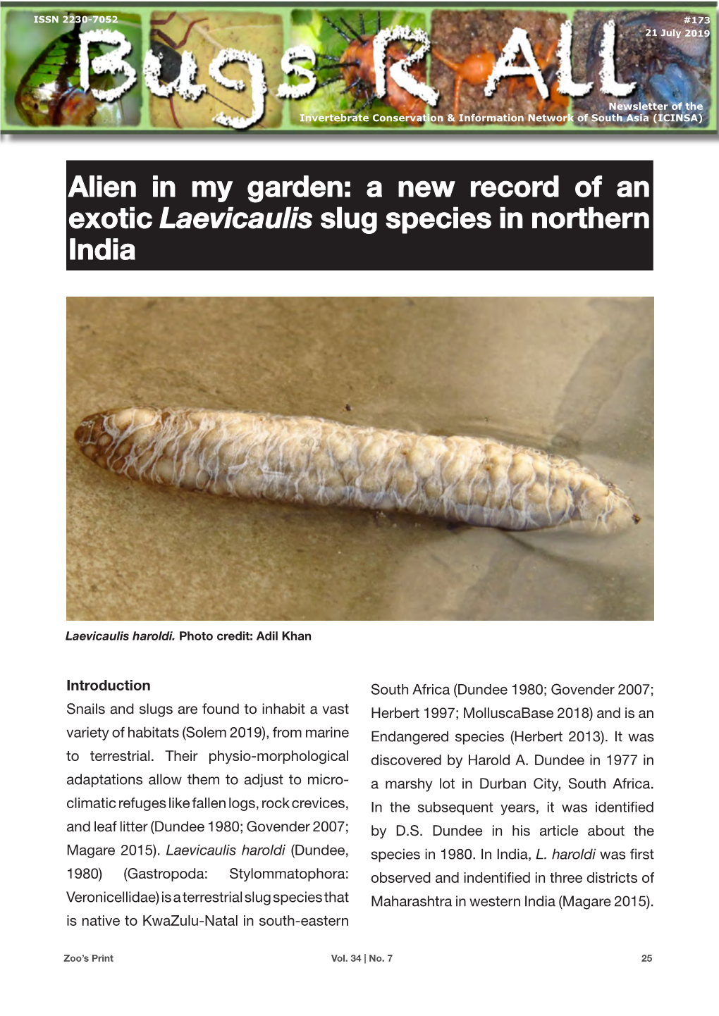 A New Record of an Exotic Laevicaulis Slug Species in Northern India