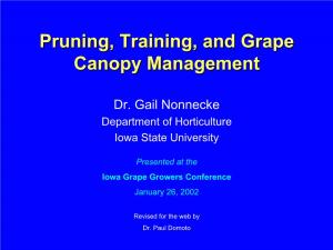 Pruning, Training, and Grape Canopy Management