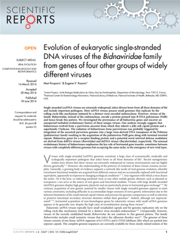 Evolution of Eukaryotic Single-Stranded DNA Viruses of the Bidnaviridae Family from Genes of Four Other Groups of Widely Differe