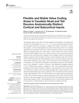 Flexible and Stable Value Coding Areas in Caudate Head and Tail Receive Anatomically Distinct Cortical and Subcortical Inputs