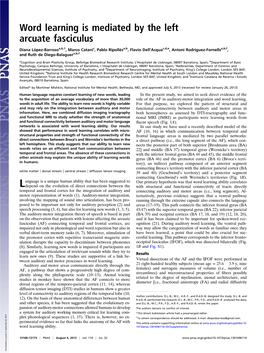 Word Learning Is Mediated by the Left Arcuate Fasciculus